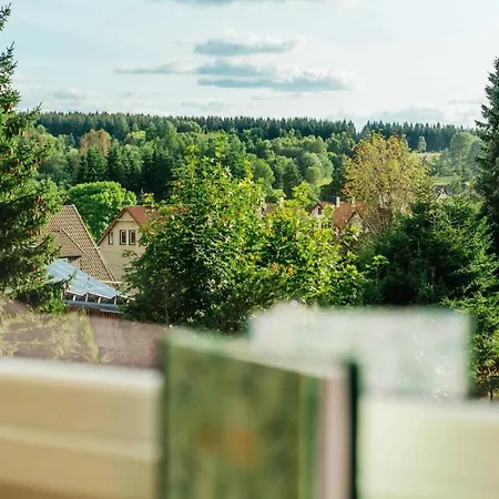 Hyggeglueck Apartment Braunlage