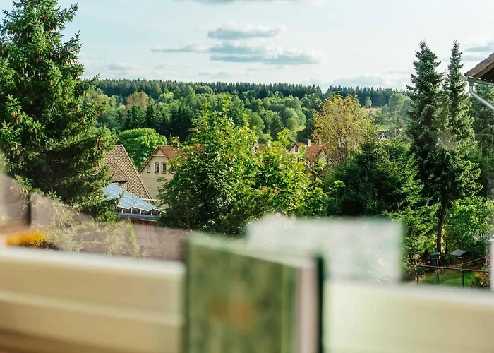 Hyggeglueck Daire Braunlage